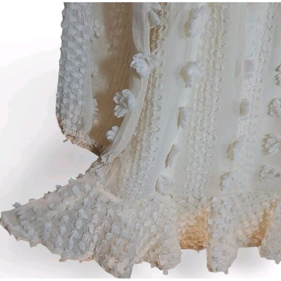 Pink Lily Long Shear Balloon Sleeves Swiss Dot Dress Beige Women Sz M Lined - Picture 6 of 11